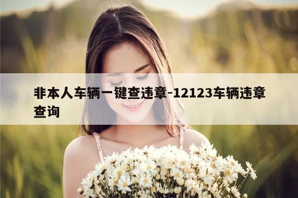 非本人车辆一键查违章-12123车辆违章查询-第1张图片-优惠活动网 非本人车辆一键查违章-12123车辆违章查询-第1张图片-优惠活动网
