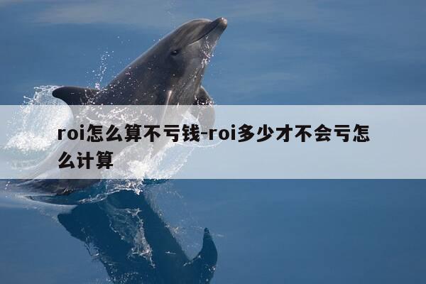 roi怎么算不亏钱-roi多少才不会亏怎么计算-第1张图片-优惠活动网