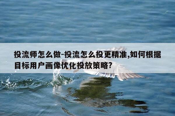 投流师怎么做-投流怎么投更精准,如何根据目标用户画像优化投放策略?-第1张图片-优惠活动网