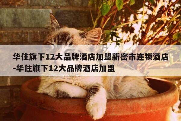 华住旗下12大品牌酒店加盟新密市连锁酒店-华住旗下12大品牌酒店加盟-第1张图片-优惠活动网 华住旗下12大品牌酒店加盟新密市连锁酒店-华住旗下12大品牌酒店加盟-第1张图片-优惠活动网