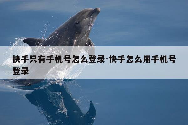 快手只有手机号怎么登录-快手怎么用手机号登录-第1张图片-优惠活动网