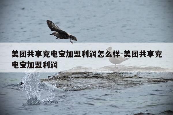 美团共享充电宝加盟利润怎么样-美团共享充电宝加盟利润-第1张图片-优惠活动网 美团共享充电宝加盟利润怎么样-美团共享充电宝加盟利润-第1张图片-优惠活动网