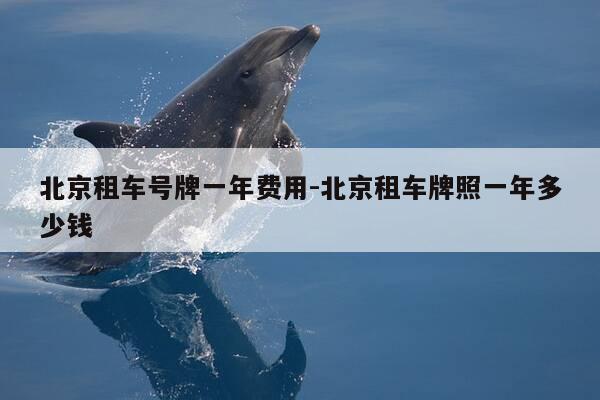北京租车号牌一年费用-北京租车牌照一年多少钱-第1张图片-优惠活动网 北京租车号牌一年费用-北京租车牌照一年多少钱-第1张图片-优惠活动网
