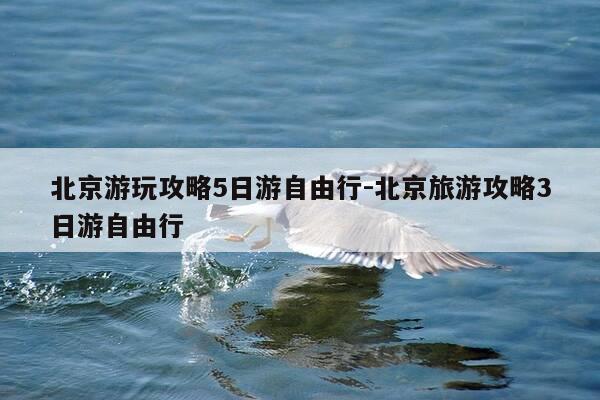 北京游玩攻略5日游自由行-北京旅游攻略3日游自由行-第1张图片-优惠活动网 北京游玩攻略5日游自由行-北京旅游攻略3日游自由行-第1张图片-优惠活动网