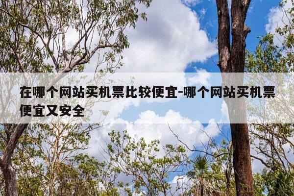 在哪个网站买机票比较便宜-哪个网站买机票便宜又安全-第1张图片-优惠活动网