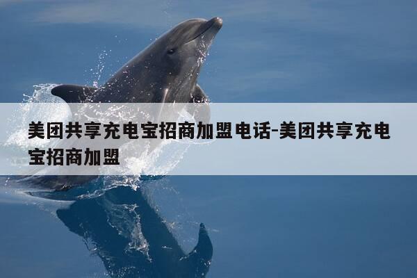 美团共享充电宝招商加盟电话-美团共享充电宝招商加盟-第1张图片-优惠活动网 美团共享充电宝招商加盟电话-美团共享充电宝招商加盟-第1张图片-优惠活动网