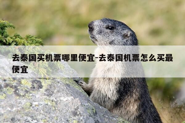 去泰国买机票哪里便宜-去泰国机票怎么买最便宜-第1张图片-优惠活动网 去泰国买机票哪里便宜-去泰国机票怎么买最便宜-第1张图片-优惠活动网