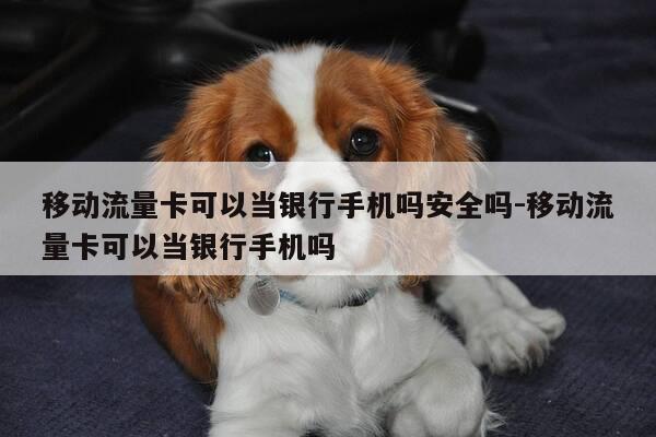 移动流量卡可以当银行手机吗安全吗-移动流量卡可以当银行手机吗-第1张图片-优惠活动网 移动流量卡可以当银行手机吗安全吗-移动流量卡可以当银行手机吗-第1张图片-优惠活动网