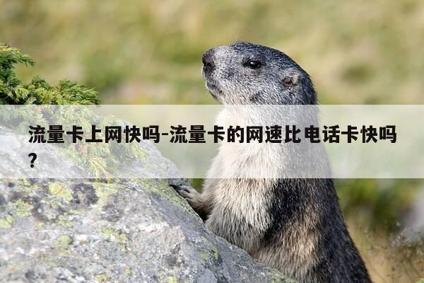 流量卡上网快吗-流量卡的网速比电话卡快吗?-第1张图片-优惠活动网 流量卡上网快吗-流量卡的网速比电话卡快吗?-第1张图片-优惠活动网
