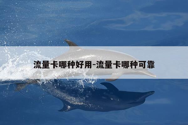 流量卡哪种好用-流量卡哪种可靠-第1张图片-优惠活动网 流量卡哪种好用-流量卡哪种可靠-第1张图片-优惠活动网