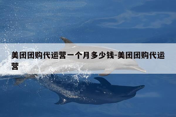 美团团购代运营一个月多少钱-美团团购代运营-第1张图片-优惠活动网