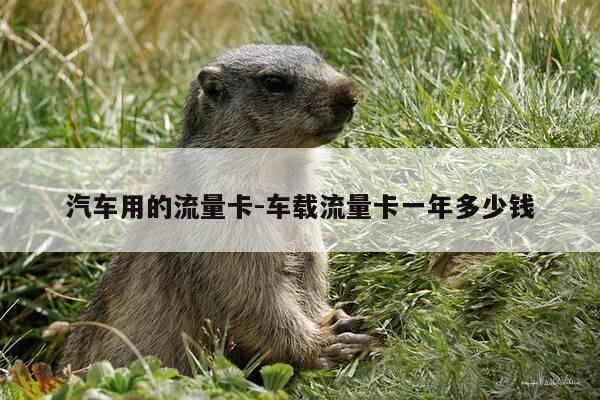 汽车用的流量卡-车载流量卡一年多少钱-第1张图片-优惠活动网 汽车用的流量卡-车载流量卡一年多少钱-第1张图片-优惠活动网