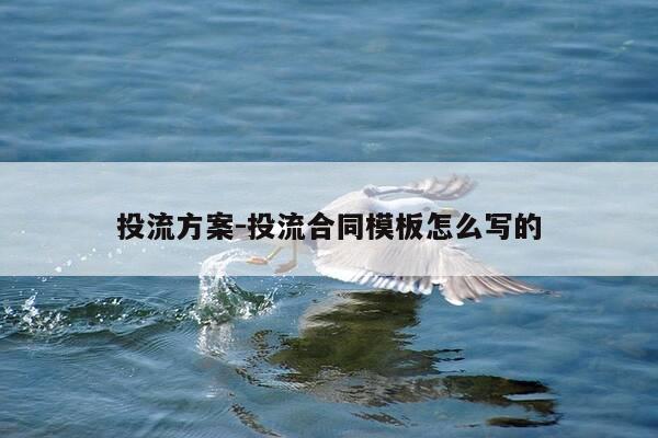 投流方案-投流合同模板怎么写的-第1张图片-优惠活动网 投流方案-投流合同模板怎么写的-第1张图片-优惠活动网