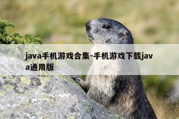 java手机游戏合集-手机游戏下载java通用版-第1张图片-优惠活动网