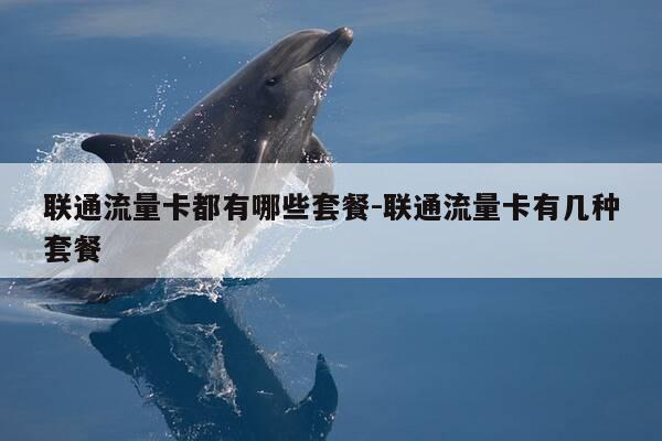 联通流量卡都有哪些套餐-联通流量卡有几种套餐-第1张图片-优惠活动网