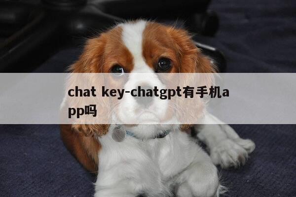 chat key-chatgpt有手机app吗-第1张图片-优惠活动网