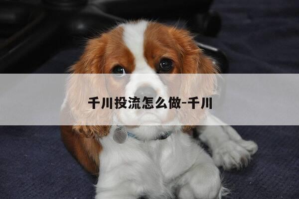 千川投流怎么做-千川-第1张图片-优惠活动网