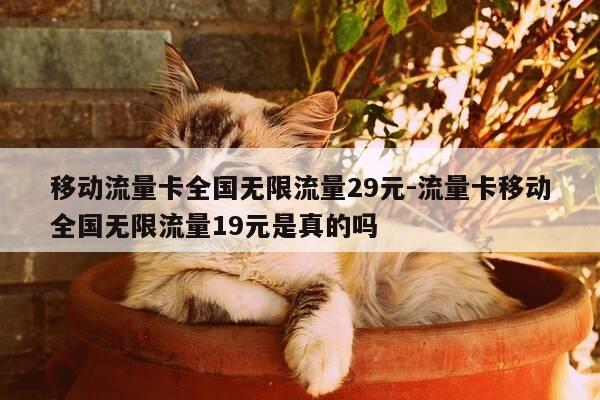 移动流量卡全国无限流量29元-流量卡移动全国无限流量19元是真的吗-第1张图片-优惠活动网 移动流量卡全国无限流量29元-流量卡移动全国无限流量19元是真的吗-第1张图片-优惠活动网