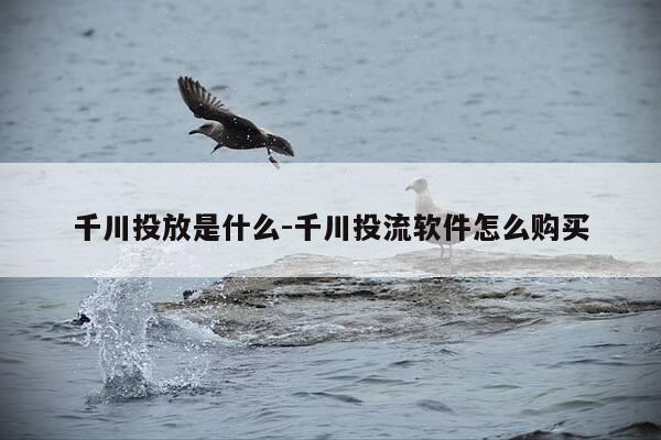 千川投放是什么-千川投流软件怎么购买-第1张图片-优惠活动网 千川投放是什么-千川投流软件怎么购买-第1张图片-优惠活动网