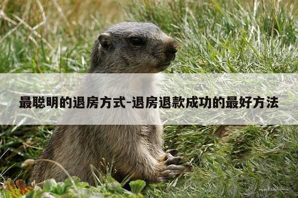 最聪明的退房方式-退房退款成功的最好方法-第1张图片-优惠活动网 最聪明的退房方式-退房退款成功的最好方法-第1张图片-优惠活动网