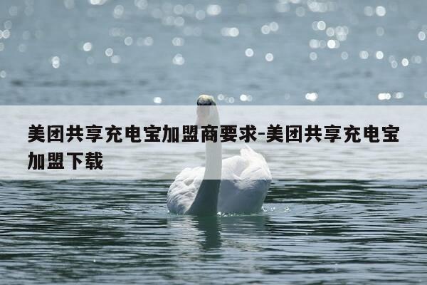 美团共享充电宝加盟商要求-美团共享充电宝加盟下载-第1张图片-优惠活动网