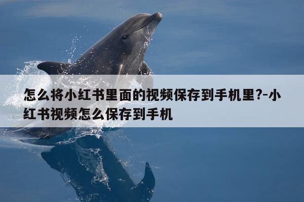 怎么将小红书里面的视频保存到手机里?-小红书视频怎么保存到手机-第1张图片-优惠活动网