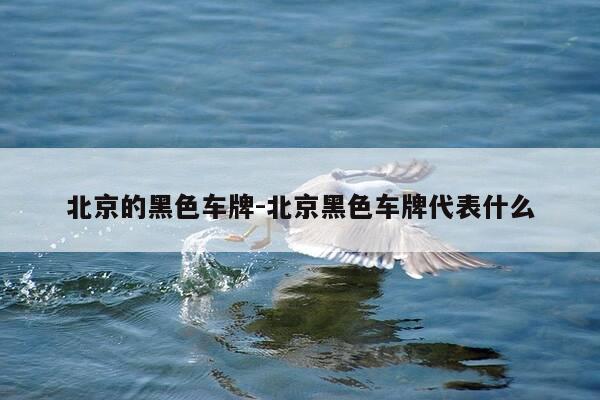 北京的黑色车牌-北京黑色车牌代表什么-第1张图片-优惠活动网 北京的黑色车牌-北京黑色车牌代表什么-第1张图片-优惠活动网