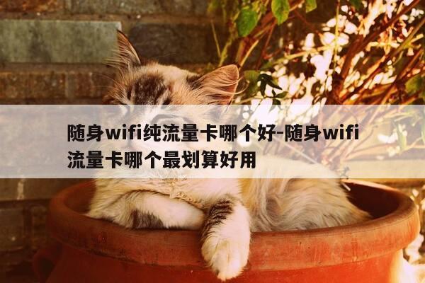 随身wifi纯流量卡哪个好-随身wifi流量卡哪个最划算好用-第1张图片-优惠活动网 随身wifi纯流量卡哪个好-随身wifi流量卡哪个最划算好用-第1张图片-优惠活动网