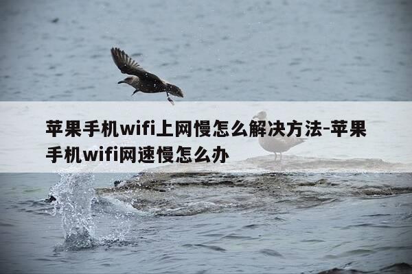 苹果手机wifi上网慢怎么解决方法-苹果手机wifi网速慢怎么办-第1张图片-优惠活动网 苹果手机wifi上网慢怎么解决方法-苹果手机wifi网速慢怎么办-第1张图片-优惠活动网