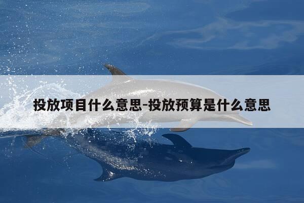 投放项目什么意思-投放预算是什么意思-第1张图片-优惠活动网 投放项目什么意思-投放预算是什么意思-第1张图片-优惠活动网
