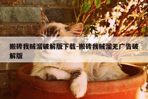 搬砖我贼溜破解版下载-搬砖我贼溜无广告破解版-第1张图片-优惠活动网