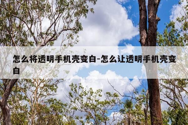 怎么将透明手机壳变白-怎么让透明手机壳变白-第1张图片-优惠活动网