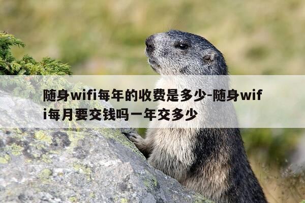 随身wifi每年的收费是多少-随身wifi每月要交钱吗一年交多少-第1张图片-优惠活动网