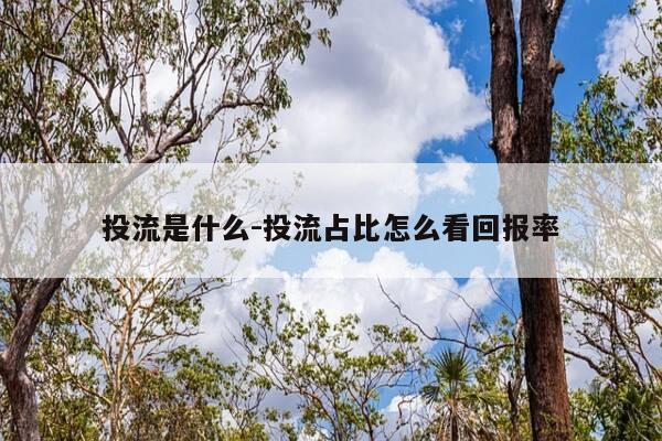 投流是什么-投流占比怎么看回报率-第1张图片-优惠活动网