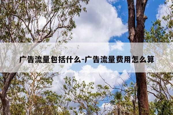 广告流量包括什么-广告流量费用怎么算-第1张图片-优惠活动网 广告流量包括什么-广告流量费用怎么算-第1张图片-优惠活动网