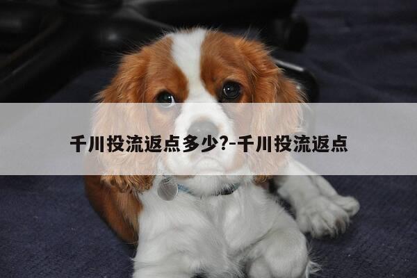 千川投流返点多少?-千川投流返点-第1张图片-优惠活动网