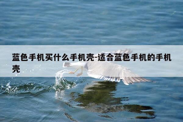 蓝色手机买什么手机壳-适合蓝色手机的手机壳-第1张图片-优惠活动网