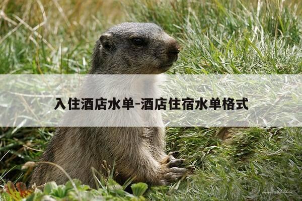 入住酒店水单-酒店住宿水单格式-第1张图片-优惠活动网