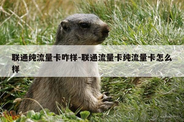 联通纯流量卡咋样-联通流量卡纯流量卡怎么样-第1张图片-优惠活动网