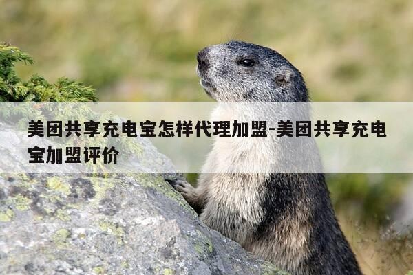 美团共享充电宝怎样代理加盟-美团共享充电宝加盟评价-第1张图片-优惠活动网 美团共享充电宝怎样代理加盟-美团共享充电宝加盟评价-第1张图片-优惠活动网