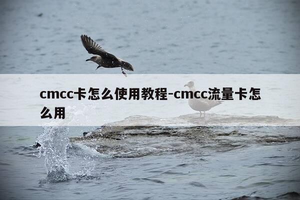 cmcc卡怎么使用教程-cmcc流量卡怎么用-第1张图片-优惠活动网 cmcc卡怎么使用教程-cmcc流量卡怎么用-第1张图片-优惠活动网