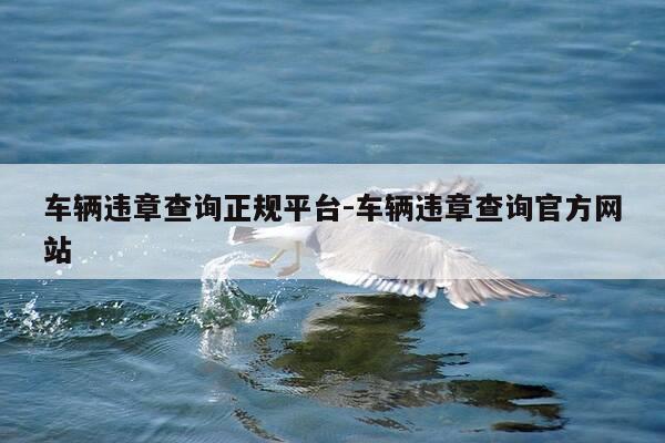 车辆违章查询正规平台-车辆违章查询官方网站-第1张图片-优惠活动网