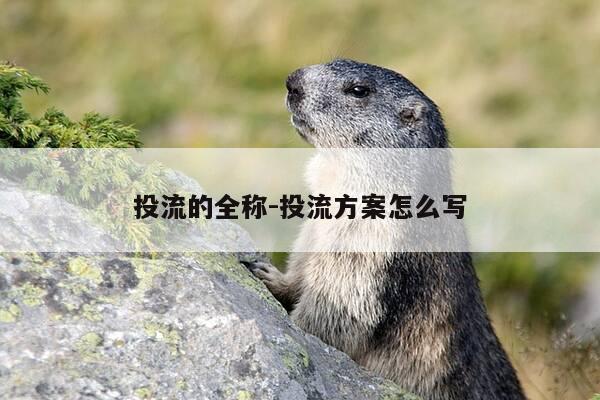 投流的全称-投流方案怎么写-第1张图片-优惠活动网 投流的全称-投流方案怎么写-第1张图片-优惠活动网