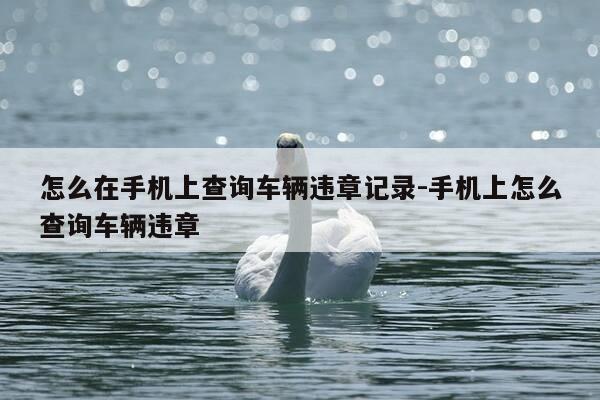 怎么在手机上查询车辆违章记录-手机上怎么查询车辆违章-第1张图片-优惠活动网