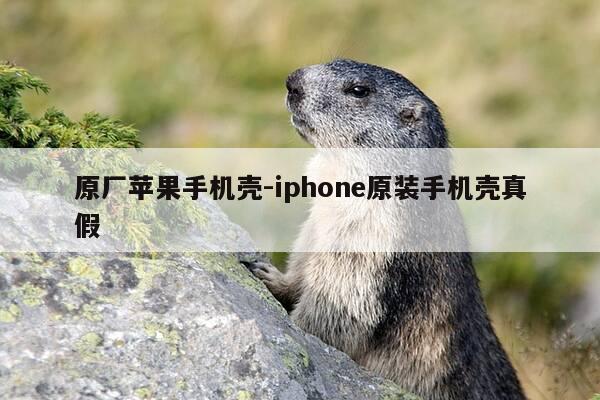 原厂苹果手机壳-iphone原装手机壳真假-第1张图片-优惠活动网 原厂苹果手机壳-iphone原装手机壳真假-第1张图片-优惠活动网