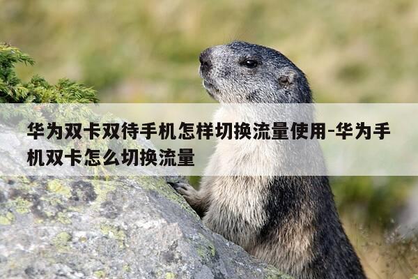 华为双卡双待手机怎样切换流量使用-华为手机双卡怎么切换流量-第1张图片-优惠活动网 华为双卡双待手机怎样切换流量使用-华为手机双卡怎么切换流量-第1张图片-优惠活动网