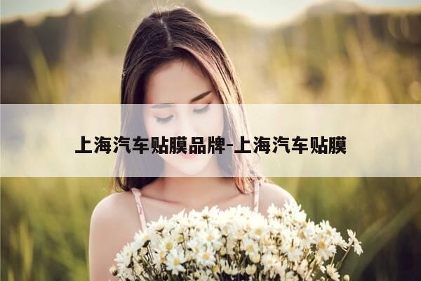 上海汽车贴膜品牌-上海汽车贴膜-第1张图片-优惠活动网