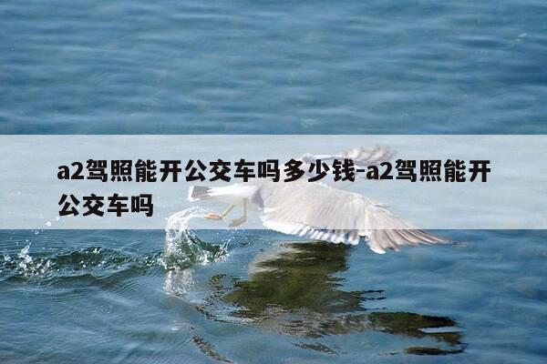 a2驾照能开公交车吗多少钱-a2驾照能开公交车吗-第1张图片-优惠活动网