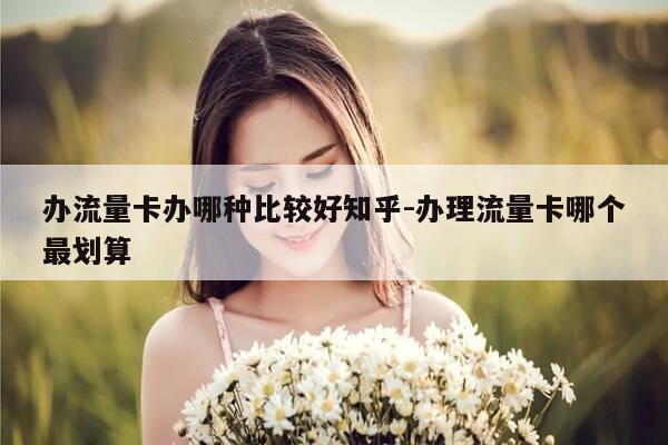 办流量卡办哪种比较好知乎-办理流量卡哪个最划算-第1张图片-优惠活动网 办流量卡办哪种比较好知乎-办理流量卡哪个最划算-第1张图片-优惠活动网
