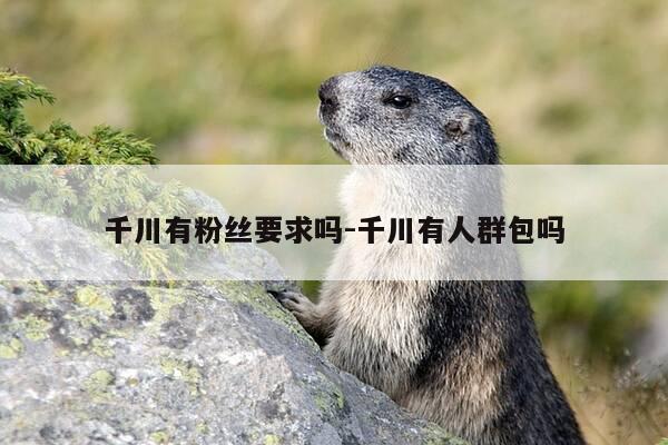 千川有粉丝要求吗-千川有人群包吗-第1张图片-优惠活动网